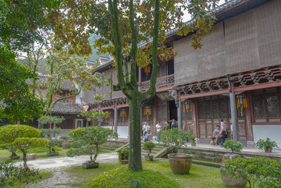 Trees and plants growing outside building