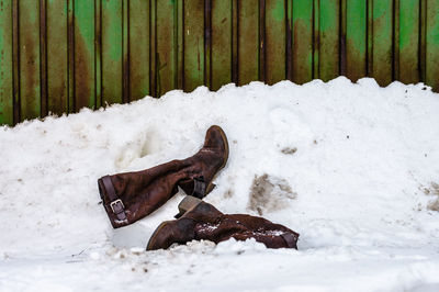 Close-up of white horse on snow