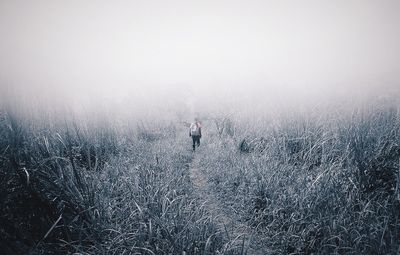 River in foggy weather