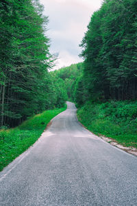 Empty road along trees