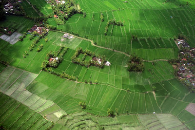 High angle view of agricultural landscape