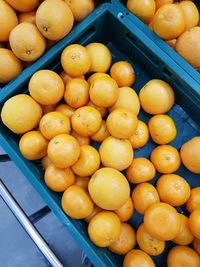 High angle view of oranges in container