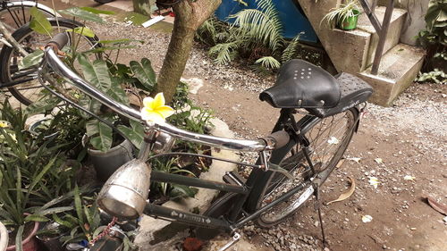 High angle view of bicycle amidst plants on field