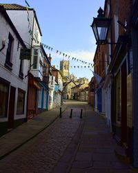 Narrow alley amidst houses in town