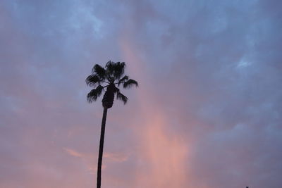 Low angle view of silhouette tree against sky