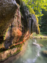 Scenic view of waterfall