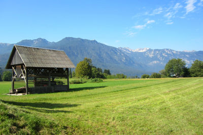 mountain
