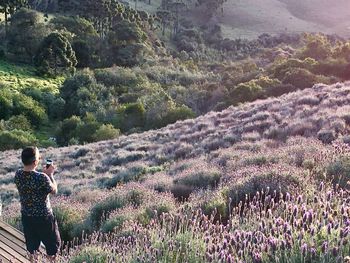 Rear view of woman photographing flowers on field