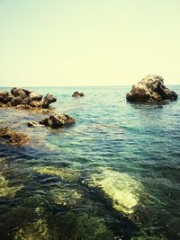 sea