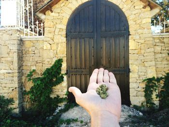 Cropped image of hand holding herbs against closed door