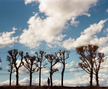 Bare trees on field against sky