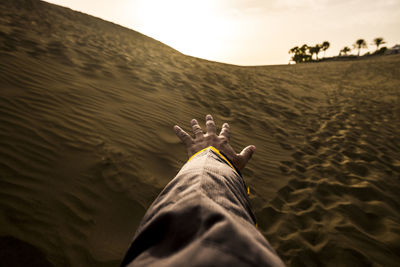 Cropped hand gesturing at desert against sky during sunset