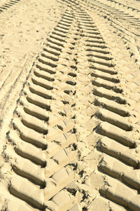 Tire tracks at sandy beach