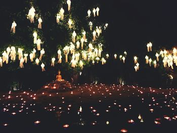 Illuminated trees against sky at night