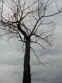 Low angle view of bare tree against sky