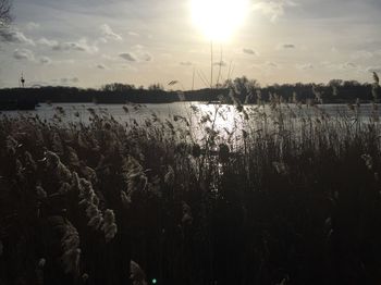 Scenic view of lake at sunset