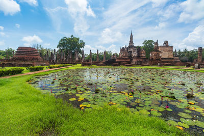 View of flowers in temple against sky