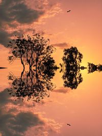 Silhouette tree reflection