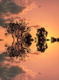 Silhouette tree against sky during sunset