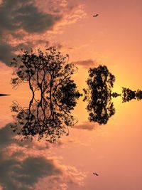 Silhouette tree against sky during sunset