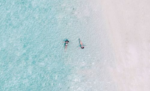 Aerial view of women swimming in sea