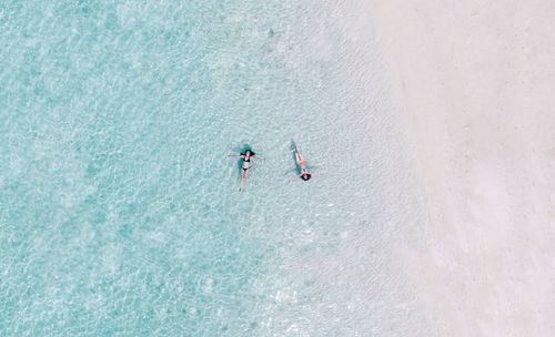 High angle view of people enjoying in water