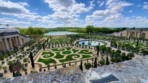 High angle view of garden