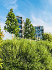 Trees growing on field by buildings against sky