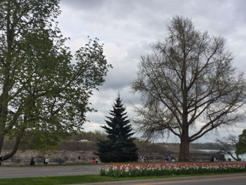 Bare trees on field against cloudy sky