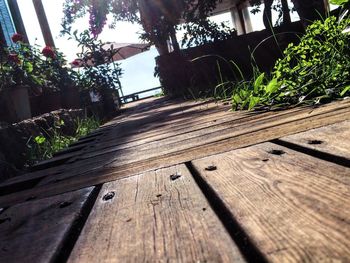 Close-up of wooden plank