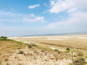 Scenic view of beach against sky