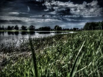 Scenic view of grassy landscape against cloudy sky