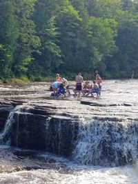 People riding horse in river against trees