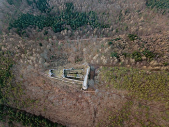 High angle view of trees on landscape