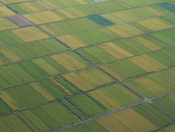 Full frame shot of agricultural field