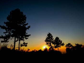 Silhouette trees against sky during sunset