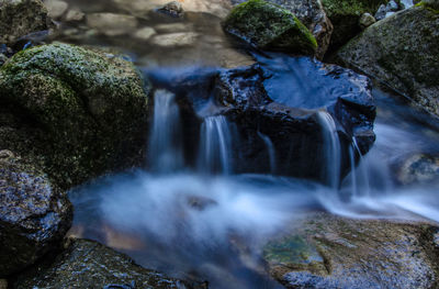 Scenic view of waterfall in forest