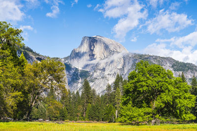 Scenic view of trees and mountains against sky