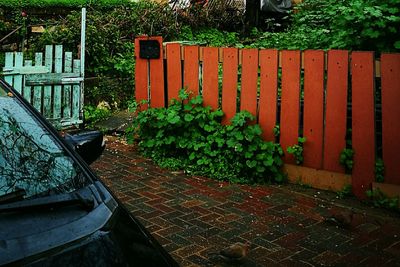 Plants and trees in front of building