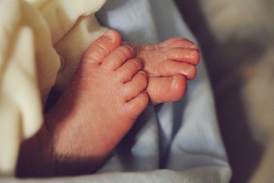 Close-up of newborn baby feet