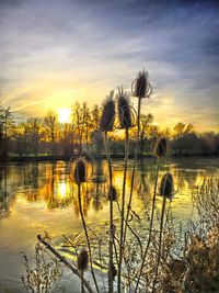 Scenic view of sunset over lake