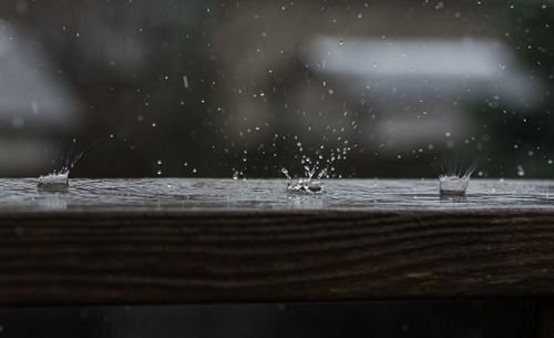Close-up of water drops on wood
