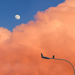 Low angle view of silhouette street light against sky