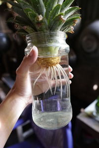 Close-up of person holding glass