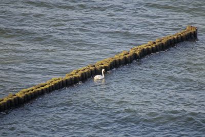 High angle view of posts in sea