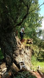 Man hanging from tree in forest