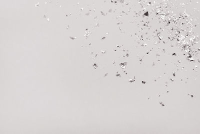 Low angle view of birds flying against white background