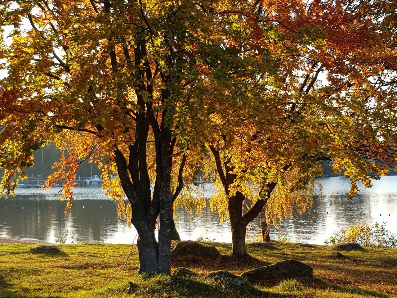 SCENIC VIEW OF LAKE DURING AUTUMN