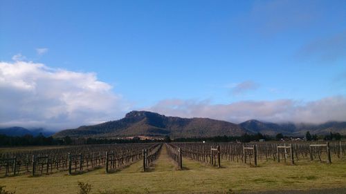 Wooden posts on field against sky