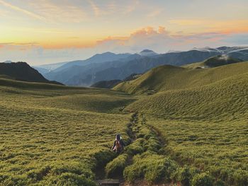 Woman walking amidst plants against sky during sunset